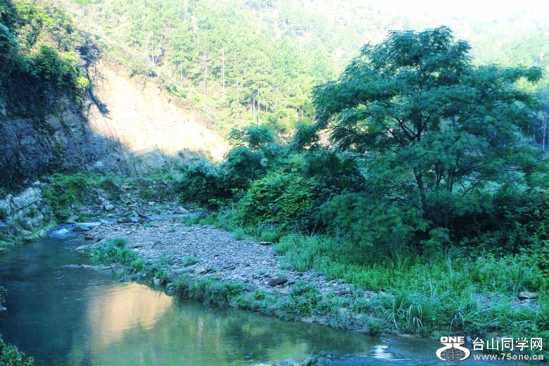 DSC05571_conew1.jpg