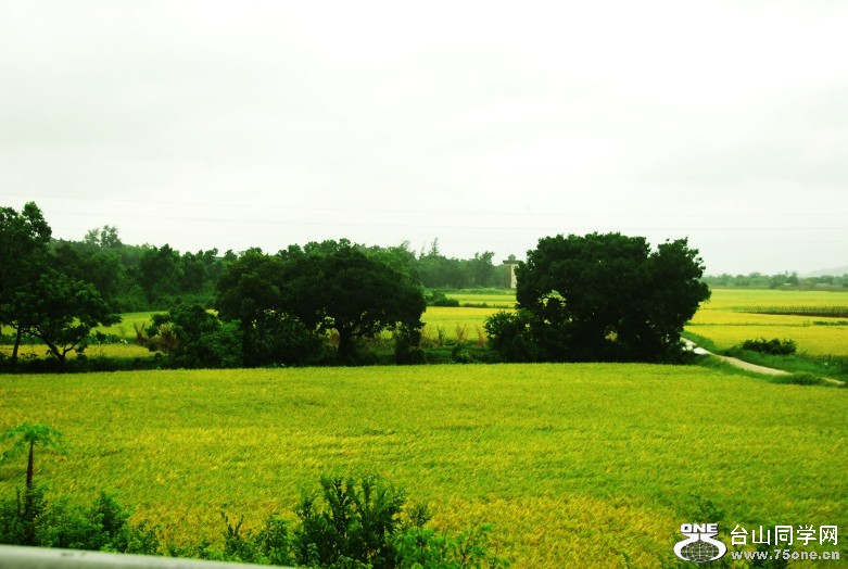 DSC_0836_conew1.jpg