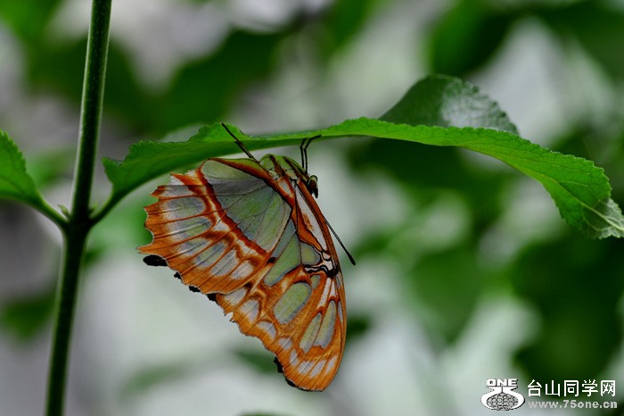 DSC_0126.jpg