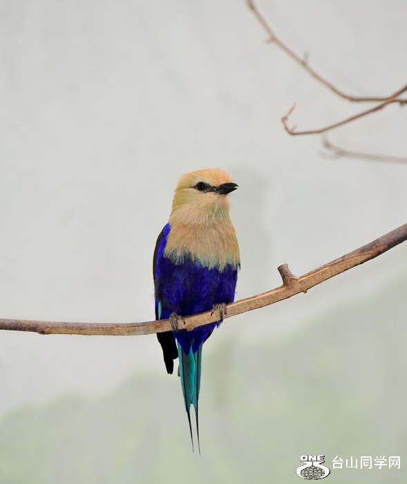 DSC_7321.jpg