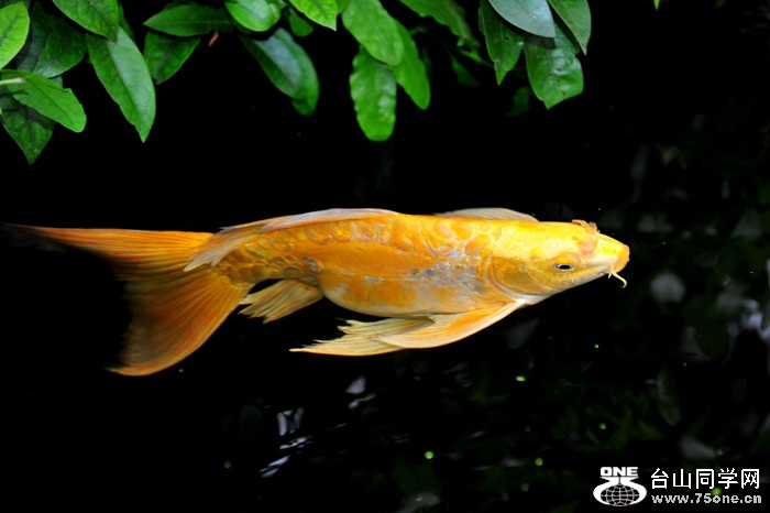 DSC_7483.jpg