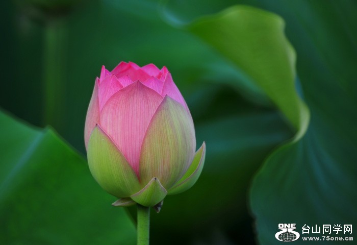 DSC_0586.jpg