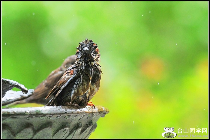 DSC_9380.JPG
