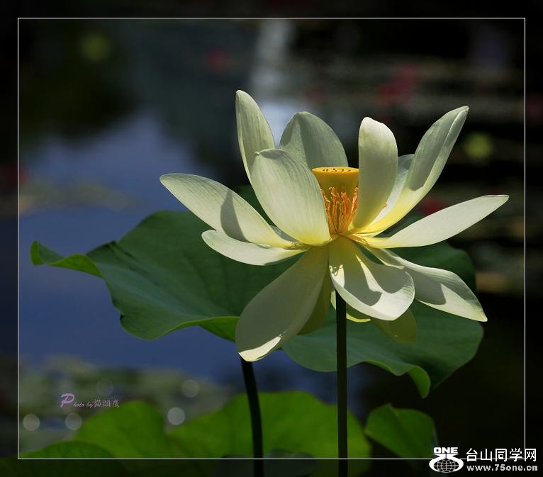 }u -IMG_4460cc.jpg
