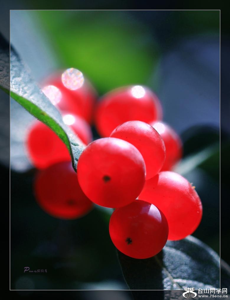 }u -IMG_4208cc.jpg