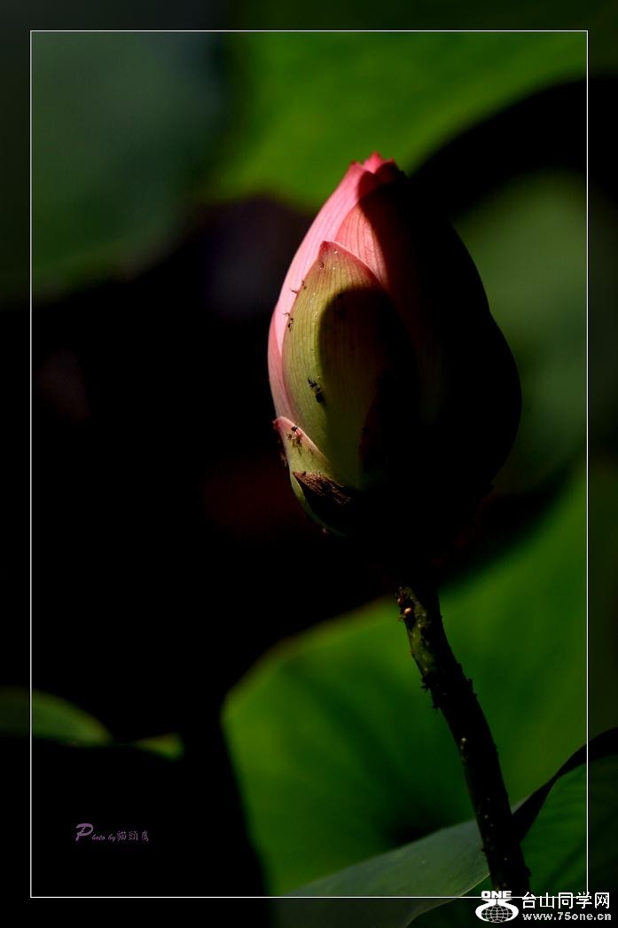 }u -IMG_4585cc.jpg