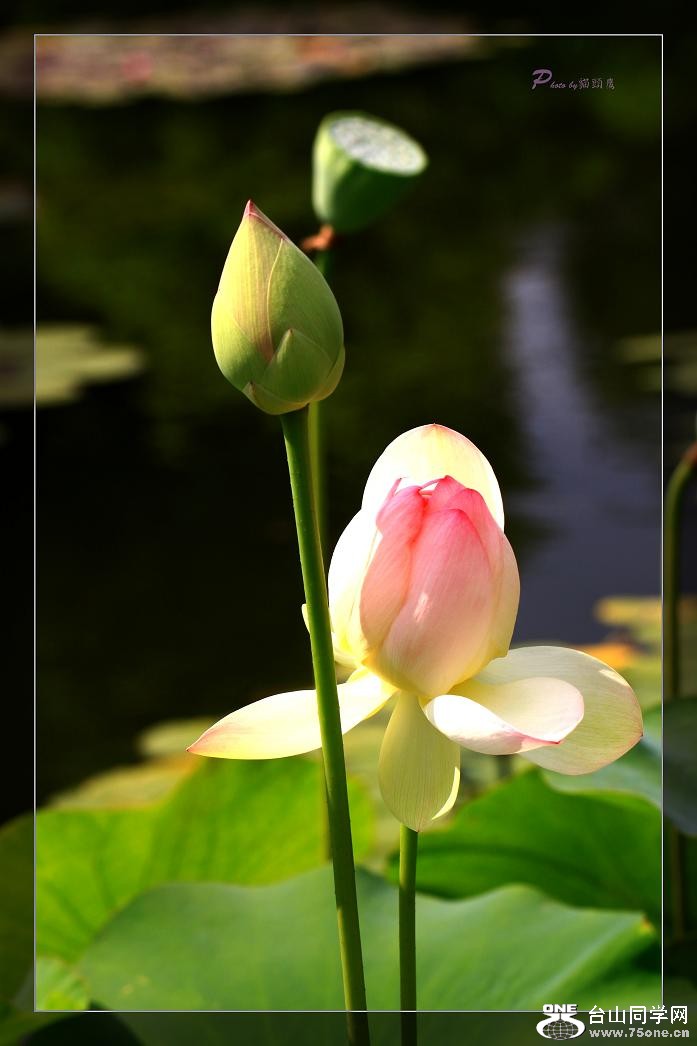 }u -IMG_4597cc.jpg