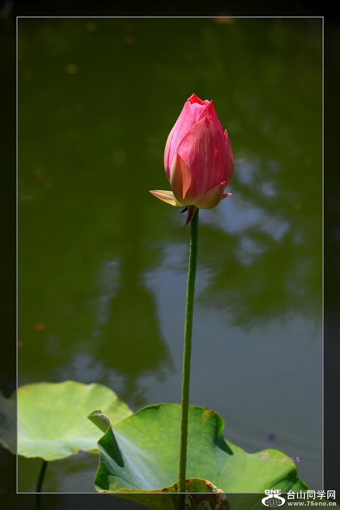 }u -IMG_4544cc.jpg