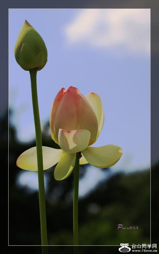 }u -IMG_4615cc.jpg