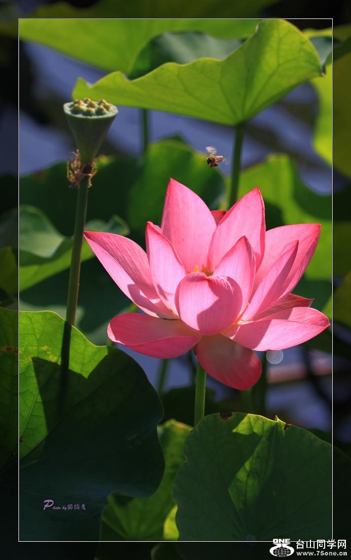 }u -Ƭ 087c.jpg