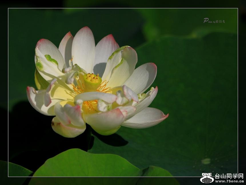 }u -Ƭ 074cc.jpg