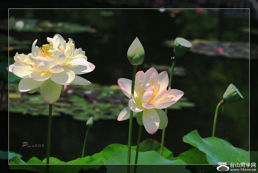}u -IMG_4386cc.jpg