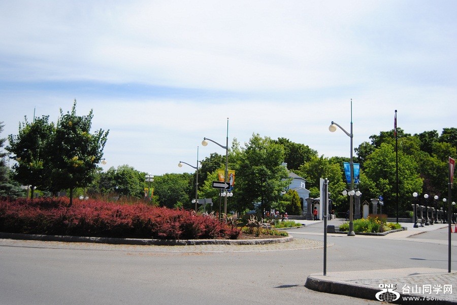 DSC_0823.JPG