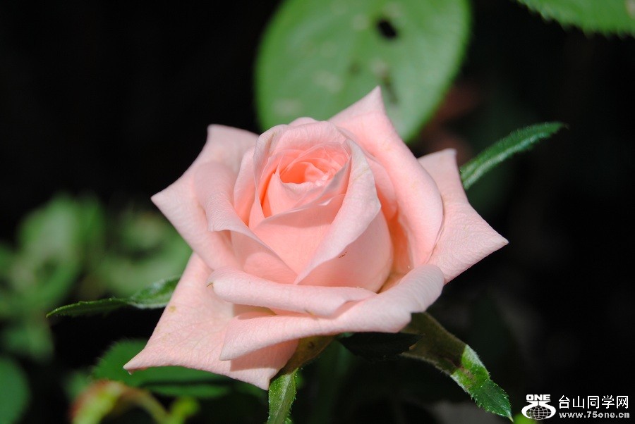 PICT4608.JPG