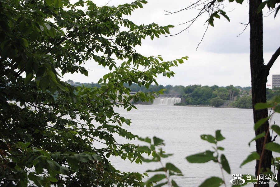 DSC_0907.JPG