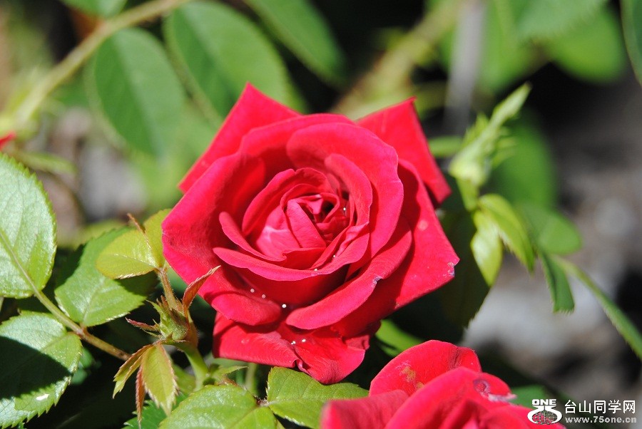 DSC_0664.JPG