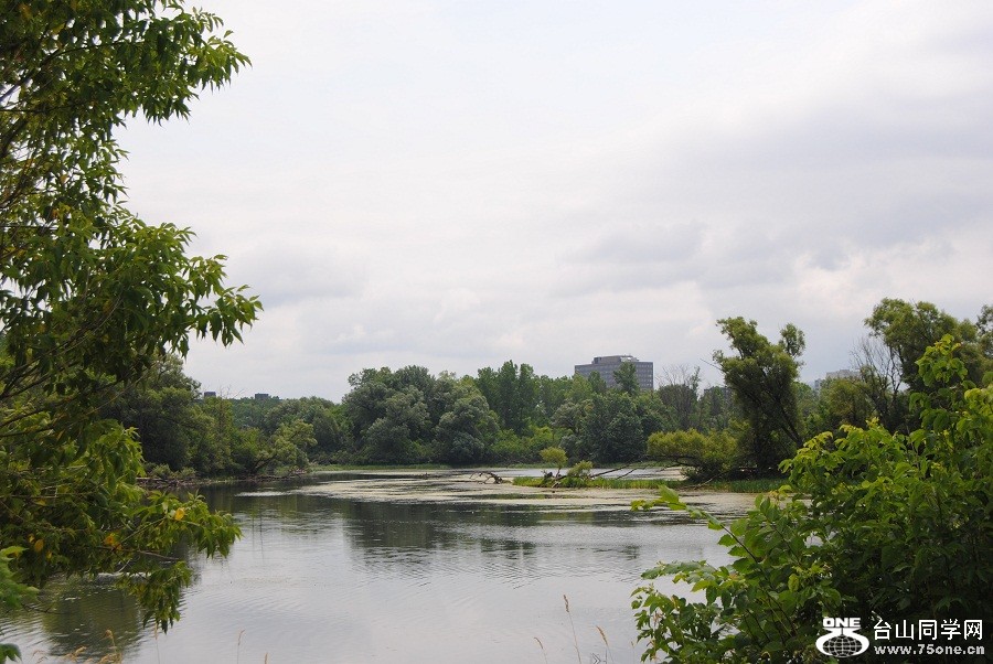 DSC_0975.JPG