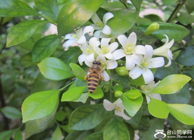 �����㳡 359_conew1.jpg