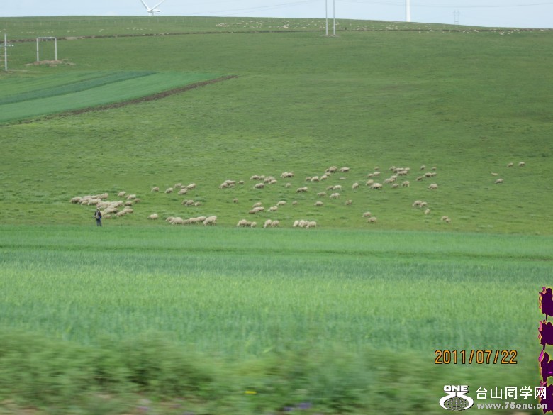 ���ɹ� 536_conew1.jpg