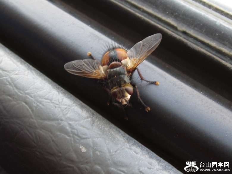 ���ɹ� 410_conew1.jpg