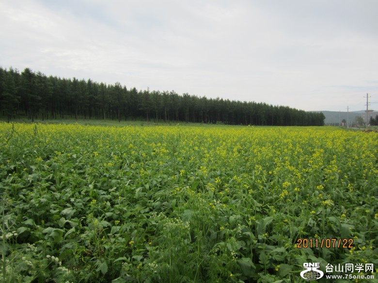 ���ɹ� 153_conew1.jpg