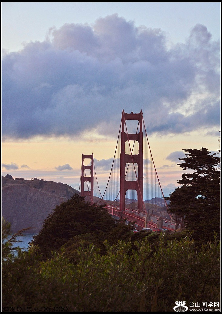 DSC_8795-0.jpg