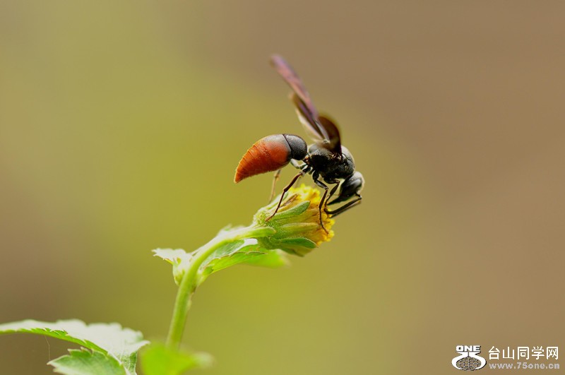 DSC_0086_.jpg