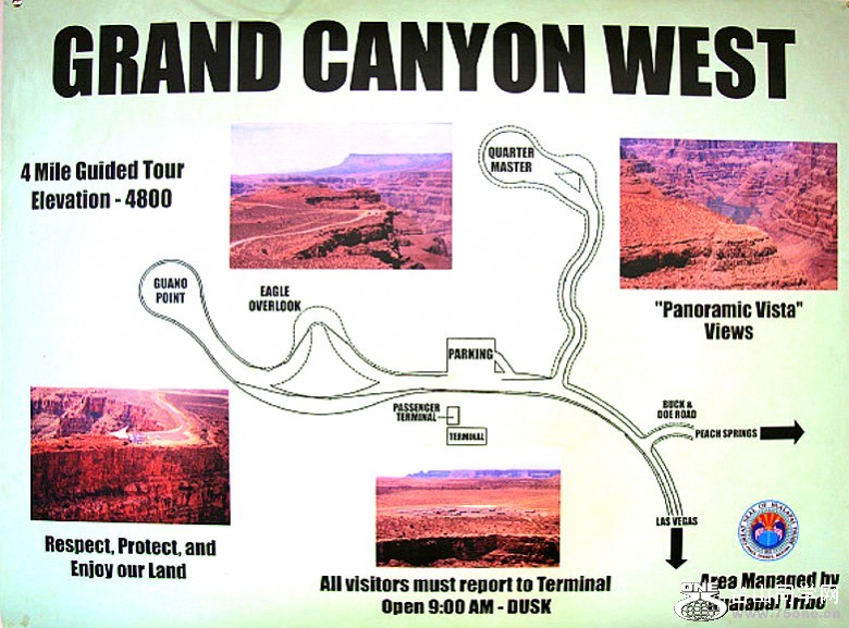 325103598101620141_conew1.jpg