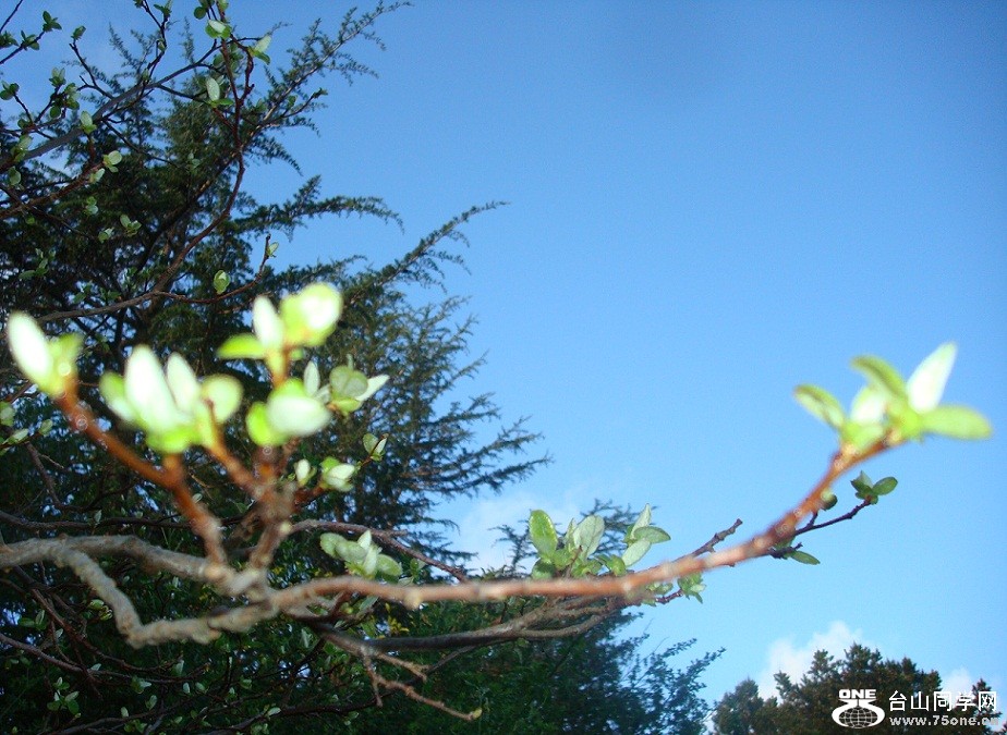 DSC07079-1.jpg