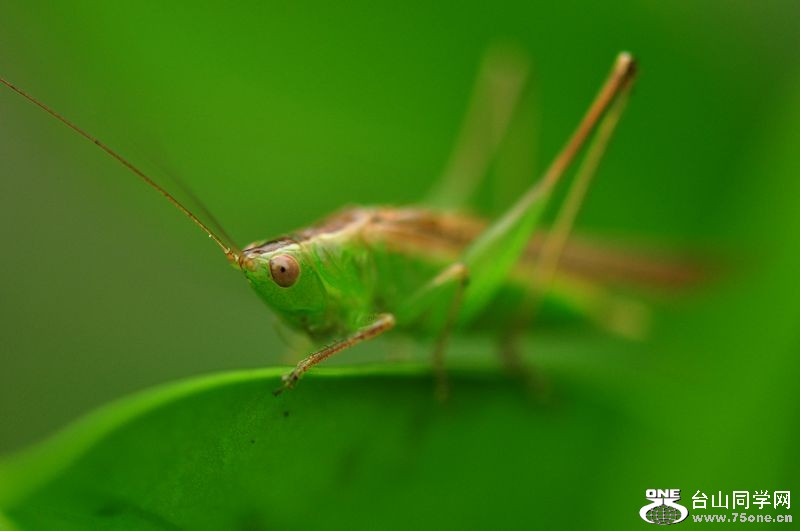 DSC_0125.JPG
