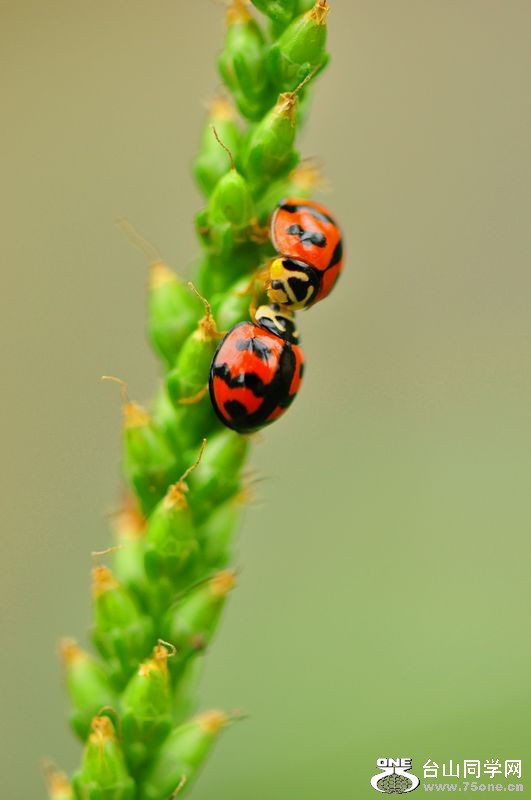 DSC_0050.JPG