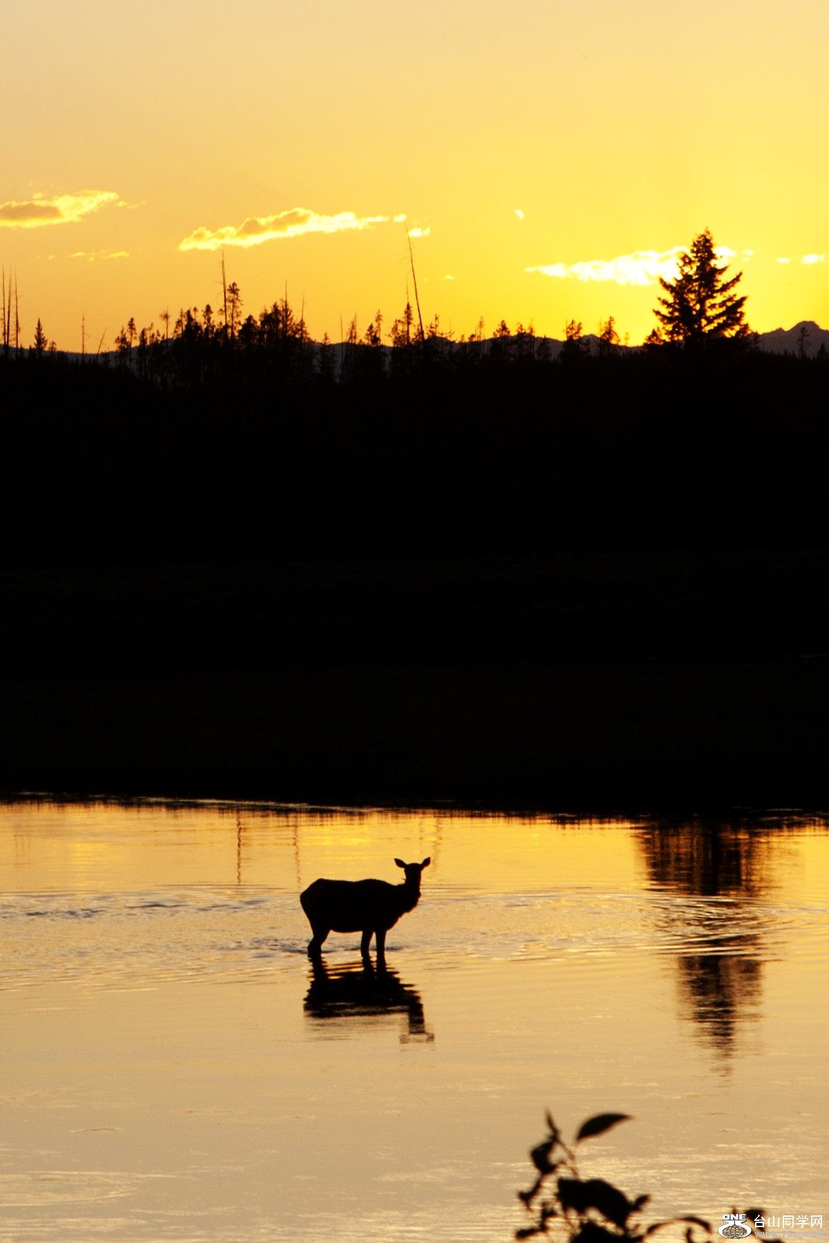 _MG_4585.jpg