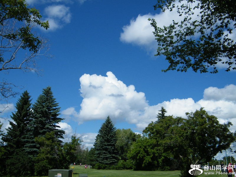 DSCF0831.JPG