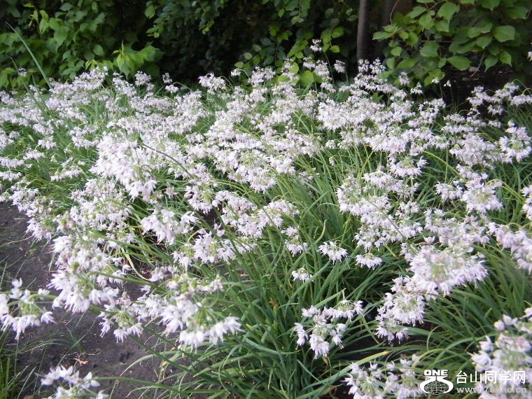 DSCF1576.JPG
