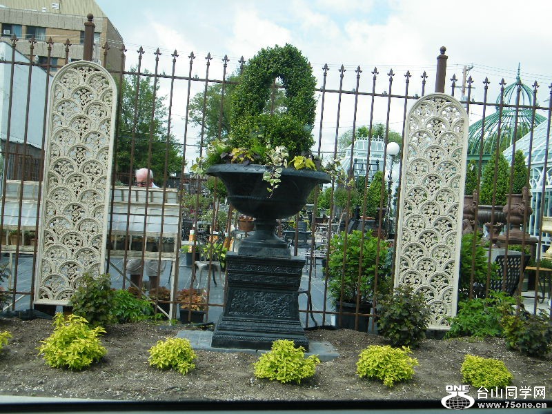 DSCF0531.JPG