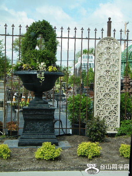 DSCF0536.JPG