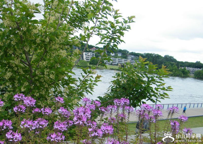 DSCF0570.JPG