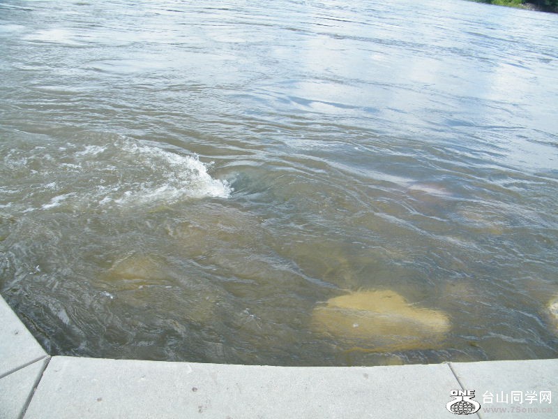 DSCF0544.JPG