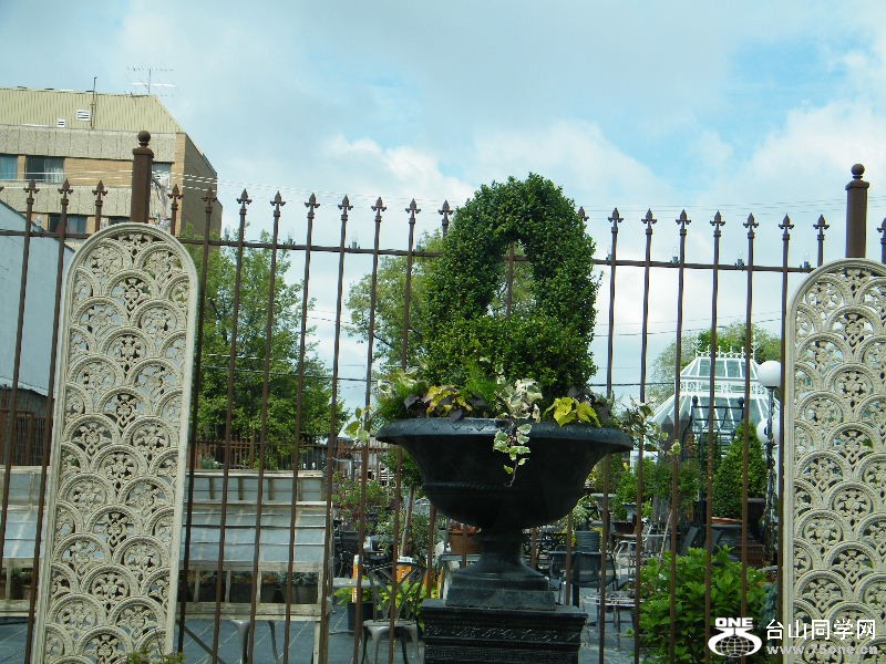 DSCF0537.JPG