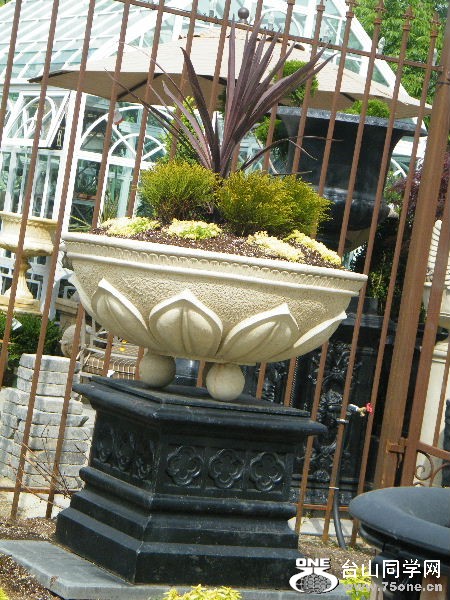 DSCF0534.JPG