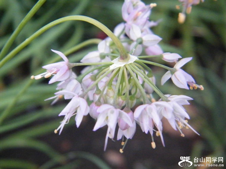 DSCF1579.JPG