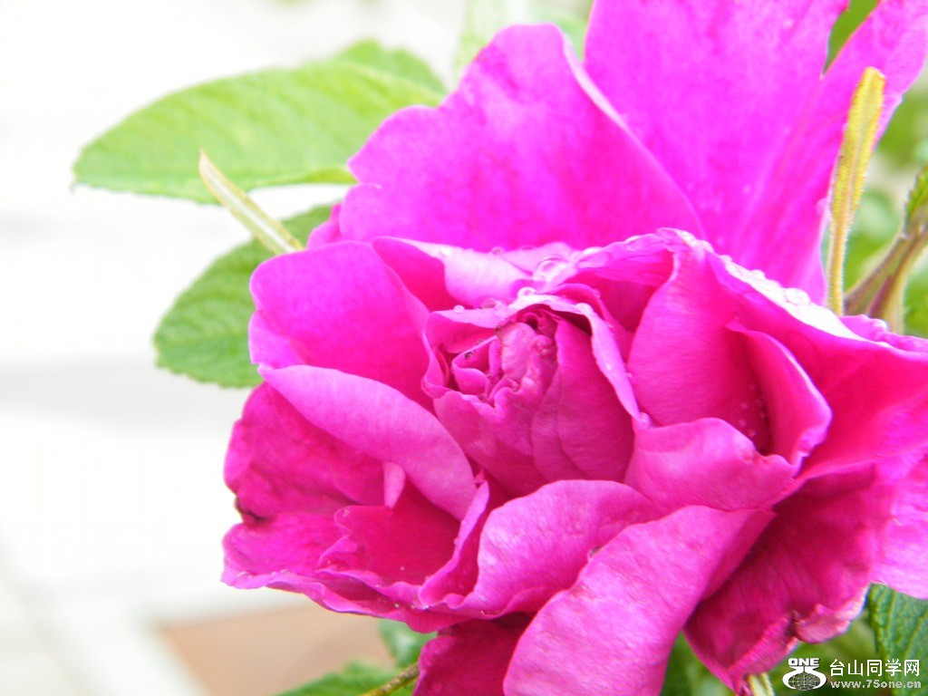 DSCF0478.JPG