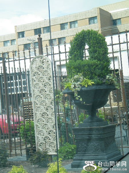 DSCF0532.JPG