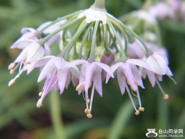 DSCF1581.JPG