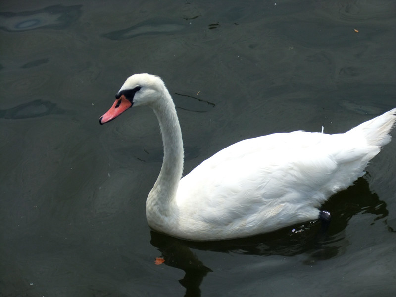 DSCF3829_.jpg