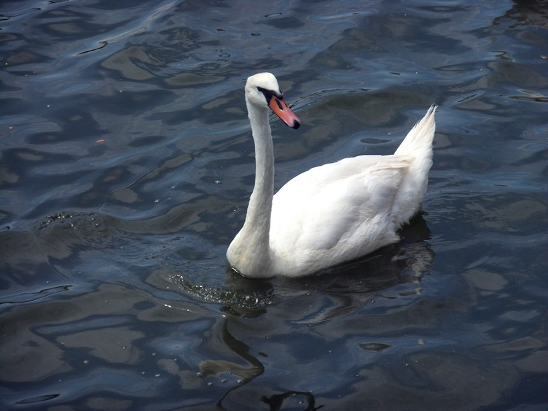 DSCF3823_.jpg