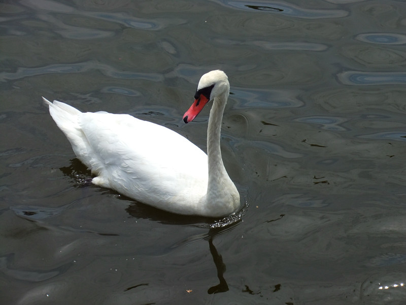 DSCF3830_.jpg