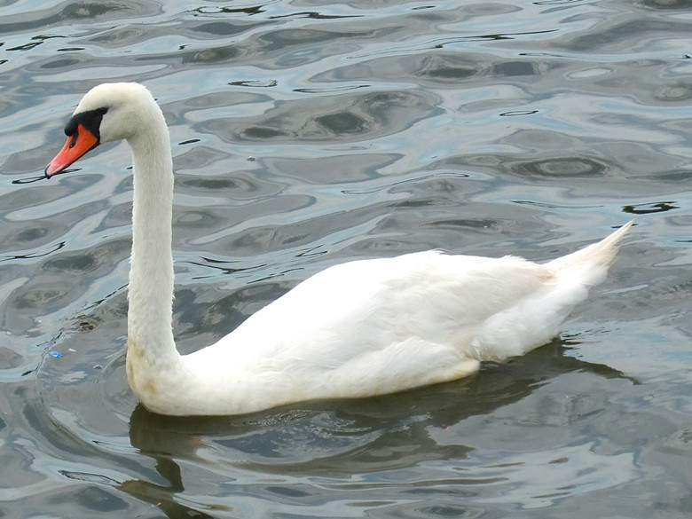 DSCF3805_.jpg