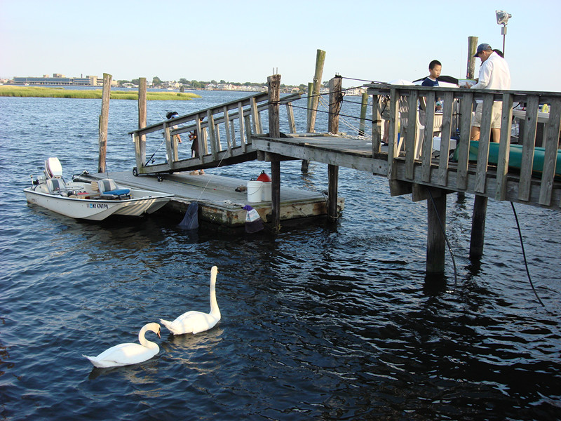 dsc01777_.jpg