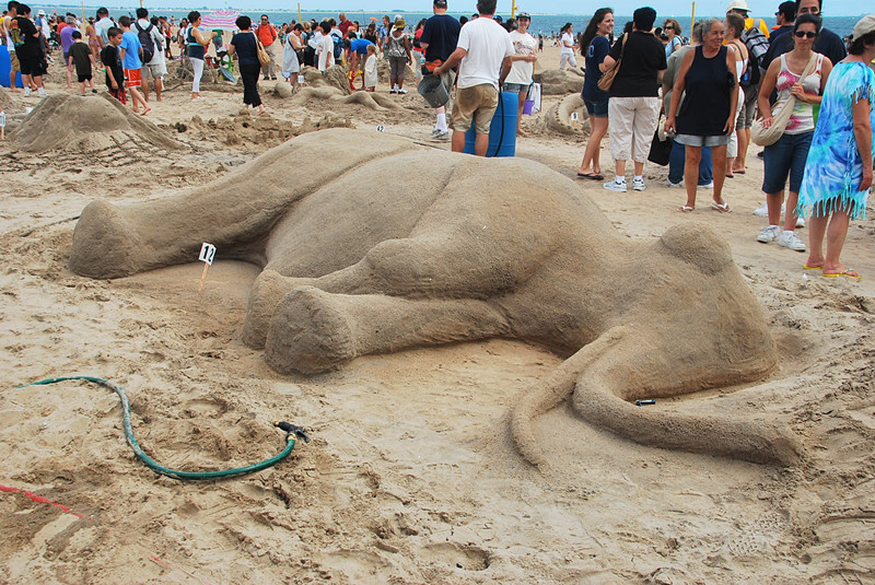 DSC_0046_.jpg
